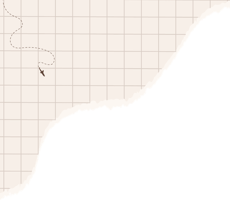 Tło - poszarpana kartka papieru w kratkę